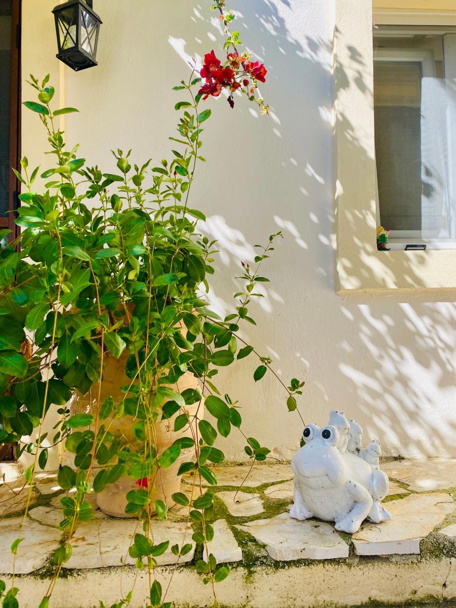 Lorantina Sea View Holiday House In Corfu - Near Barbati Beach Spartylas Buitenkant foto